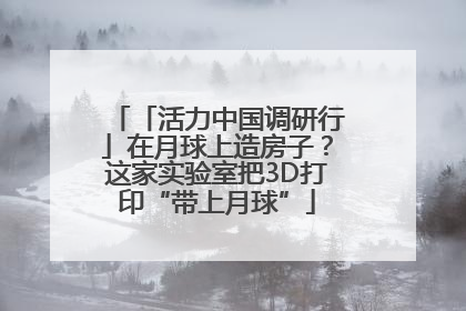 「活力中国调研行」在月球上造房子？这家实验室把3D打印“带上月球”